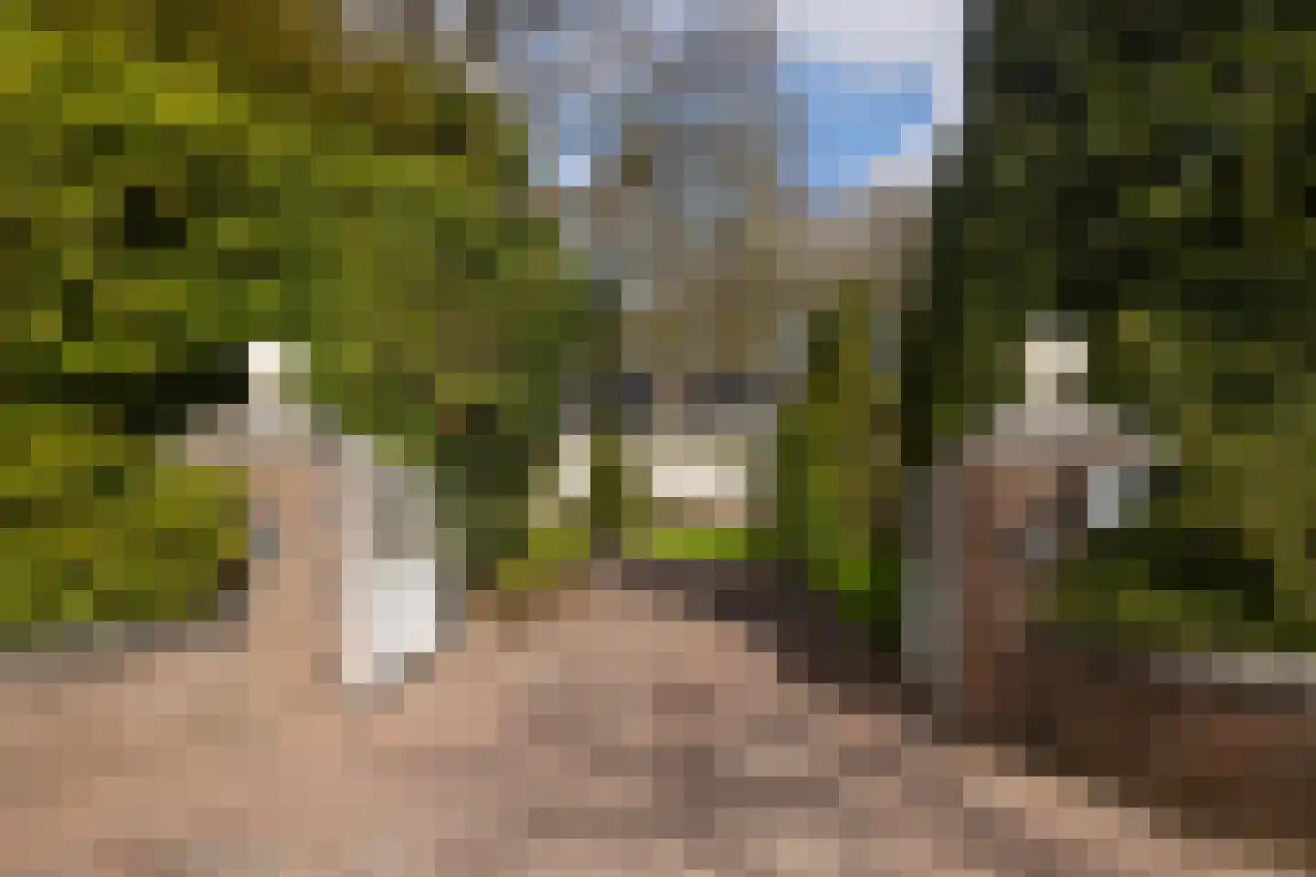 Stroe Allee 2 Harskamp thumbnail 73