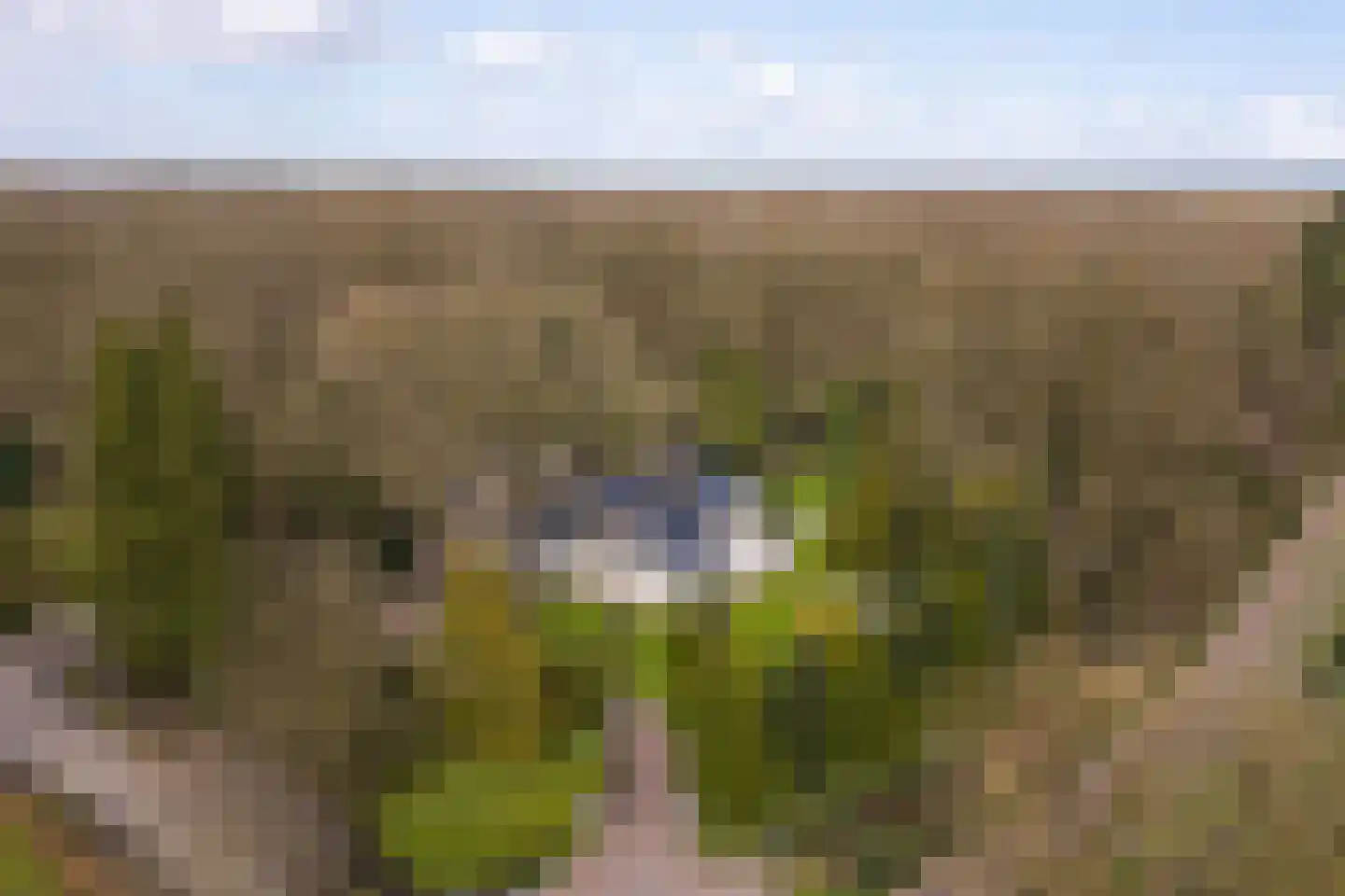 Stroe Allee 2 Harskamp thumbnail 74