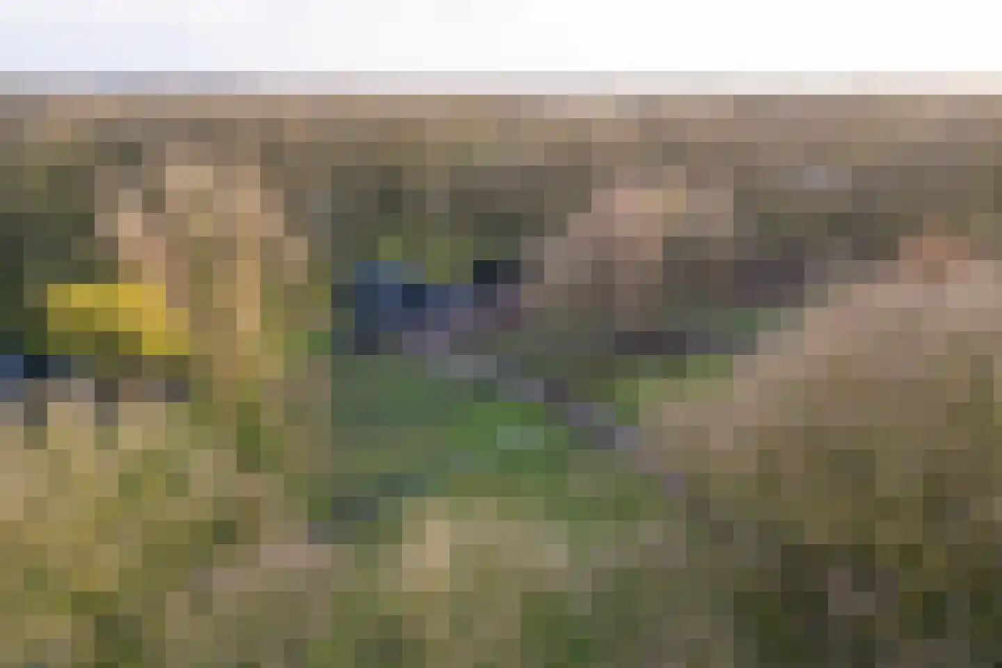 Stroe Allee 2 Harskamp thumbnail 76