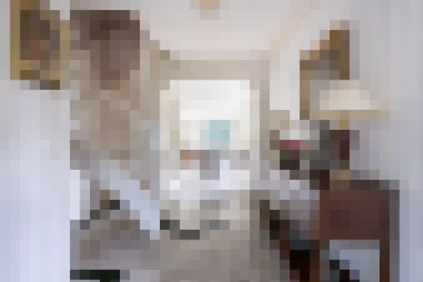 Stroe Allee 2 Harskamp thumbnail 8