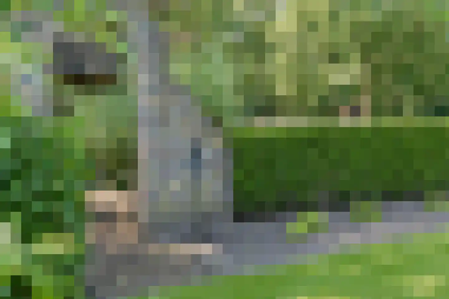 Stroeërschoolweg 20 Stroe thumbnail 47