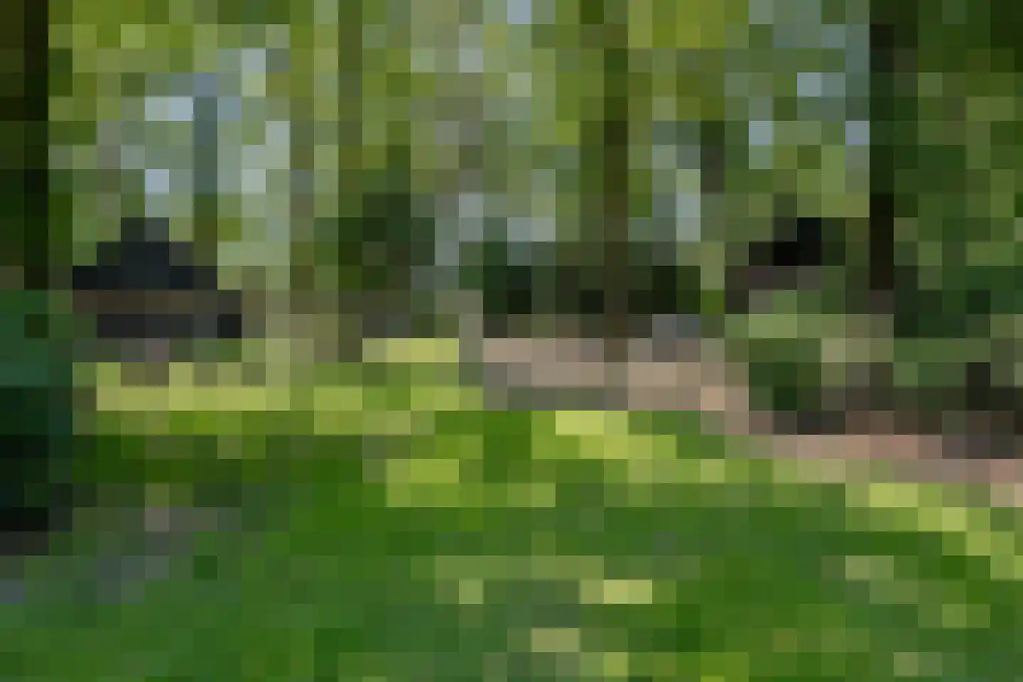 Stroeërschoolweg 20 Stroe thumbnail 54