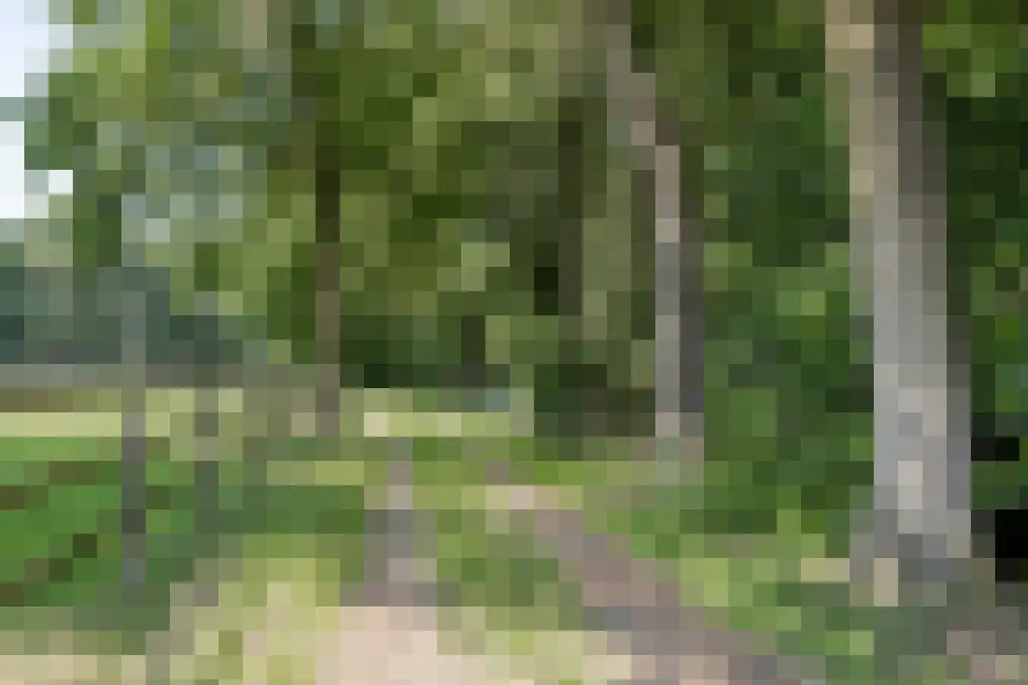 Stroeërschoolweg 20 Stroe thumbnail 69