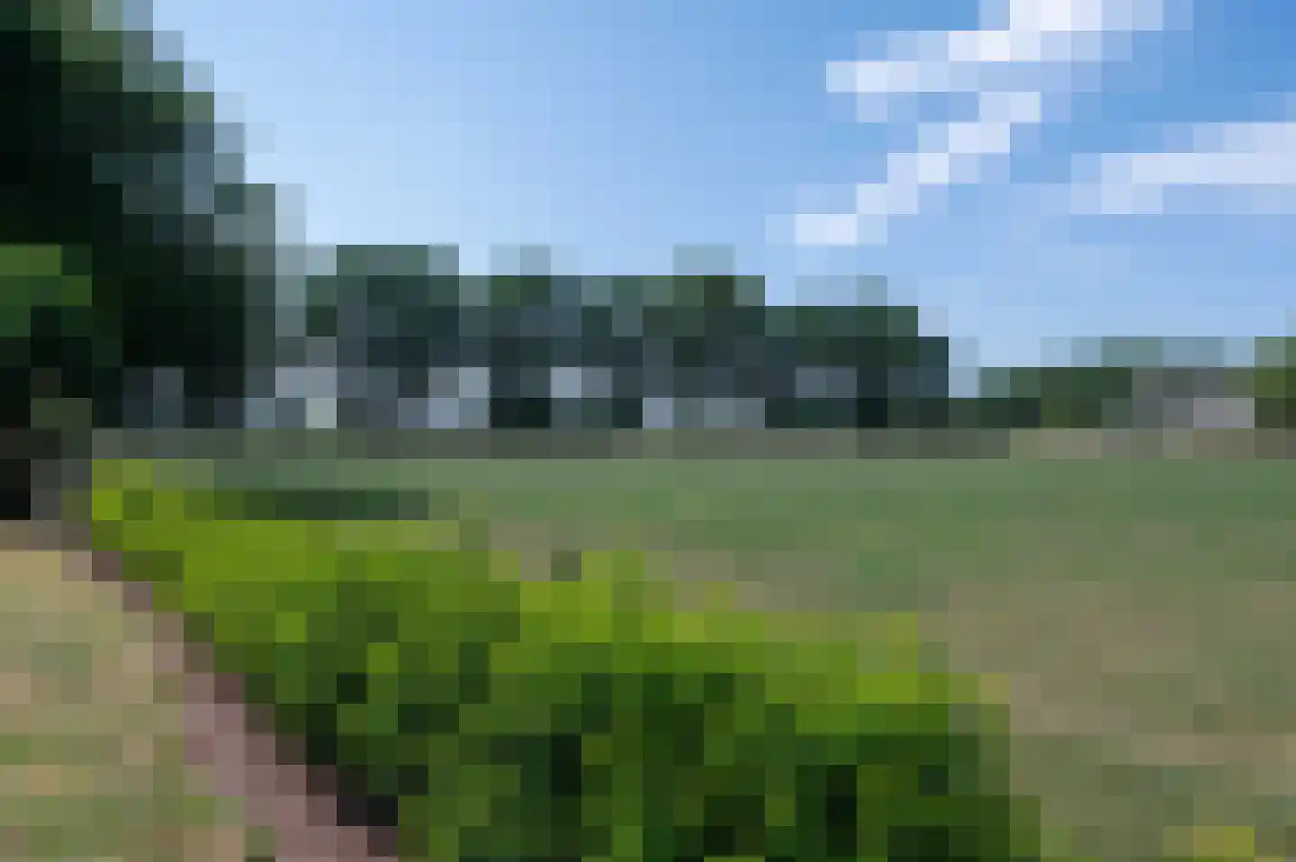Stroeërweg 16 Stroe thumbnail 6
