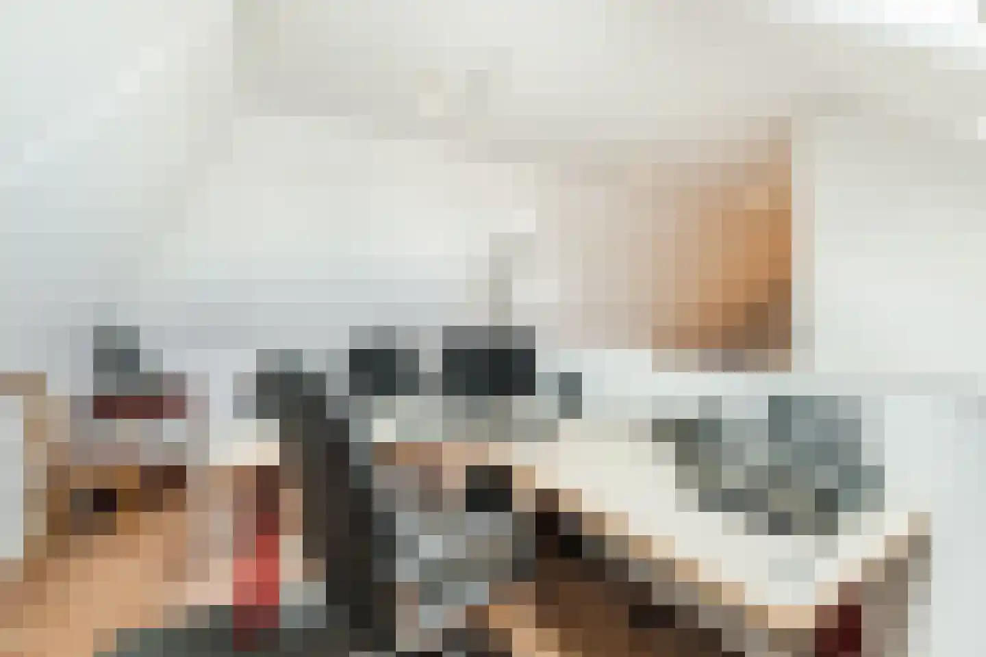 Stroekmaat 10 Westerbork thumbnail 29