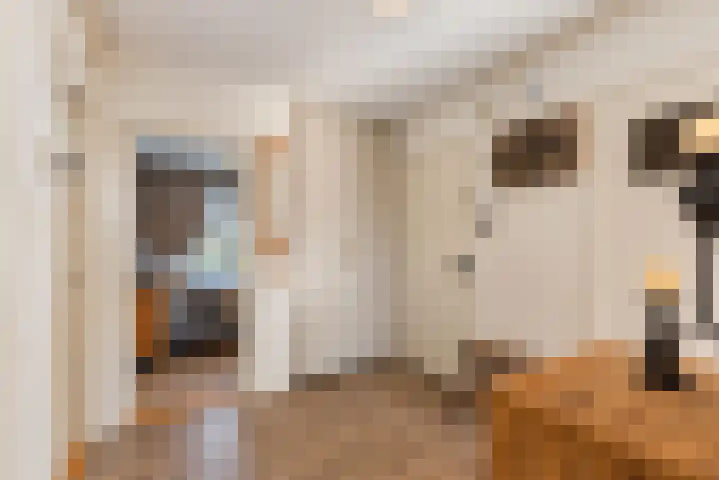 Stroeslaan 115 Hilversum thumbnail 11
