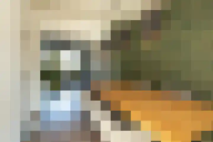 Stroeslaan 133 Hilversum thumbnail 12