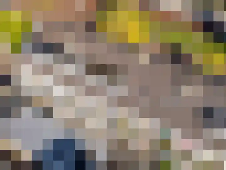Stroeslaan 27 Hilversum thumbnail 30