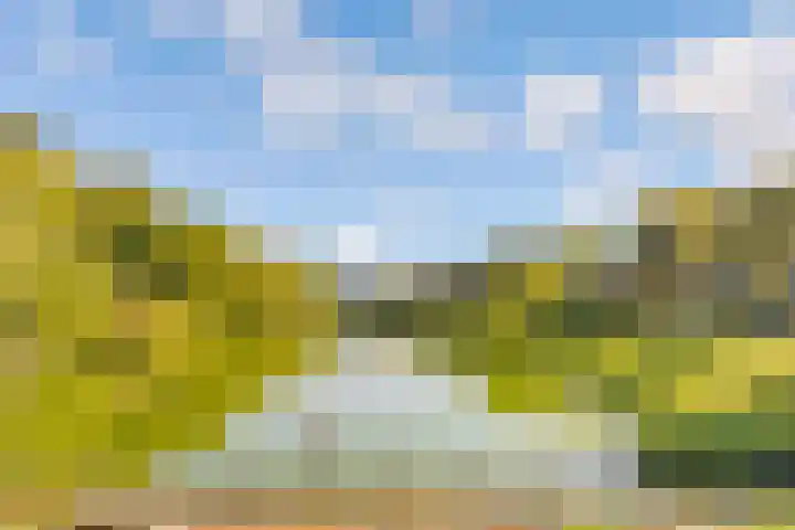 Stroeslaan 27 Hilversum thumbnail 40