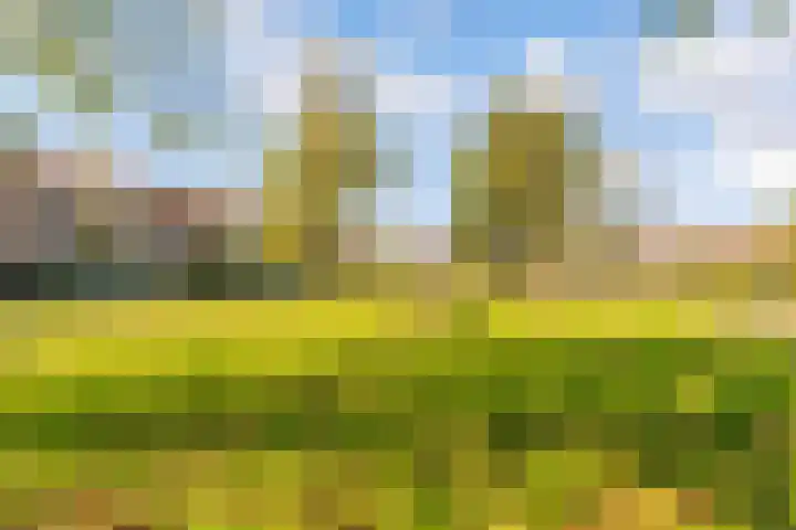 Stroeslaan 27 Hilversum thumbnail 41