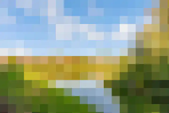 Stroeslaan 27 Hilversum thumbnail 42