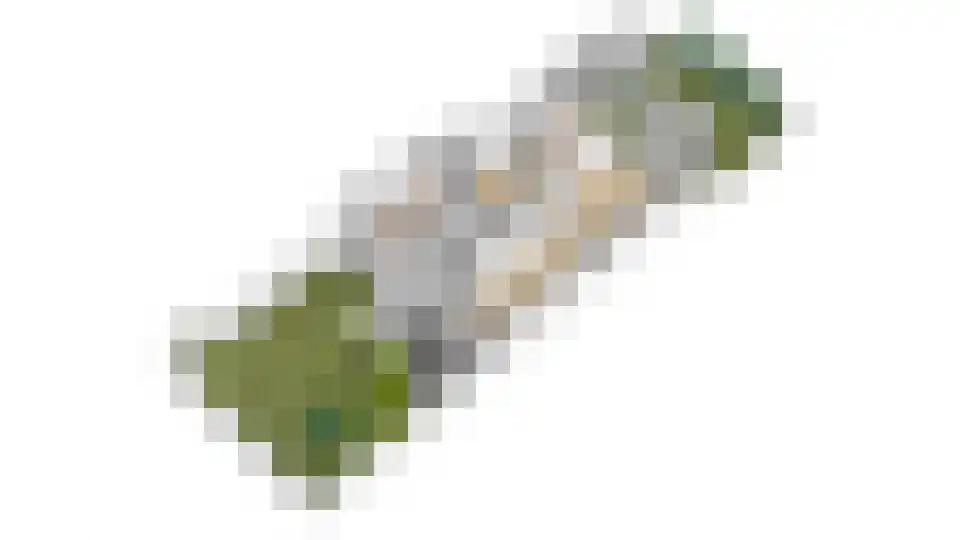 Stroeslaan 85 Hilversum thumbnail 38