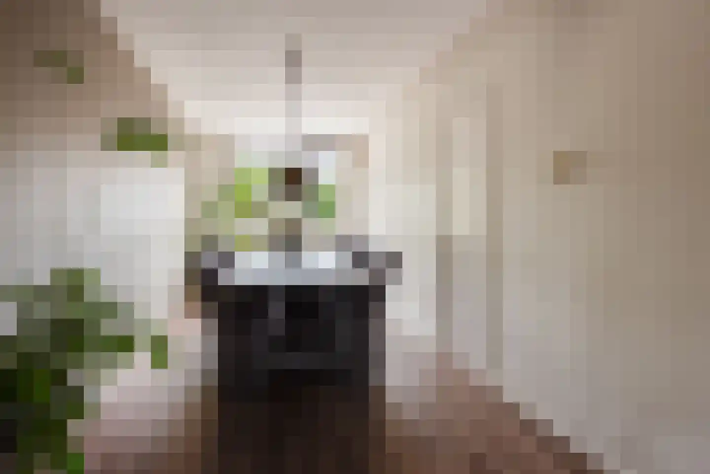 Stroeslaan 85 Hilversum thumbnail 8