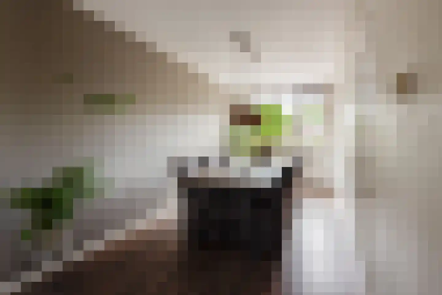 Stroeslaan 85 Hilversum thumbnail 9