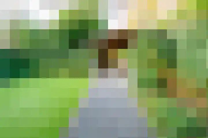 Stroet 43 Sint Maarten foto 2