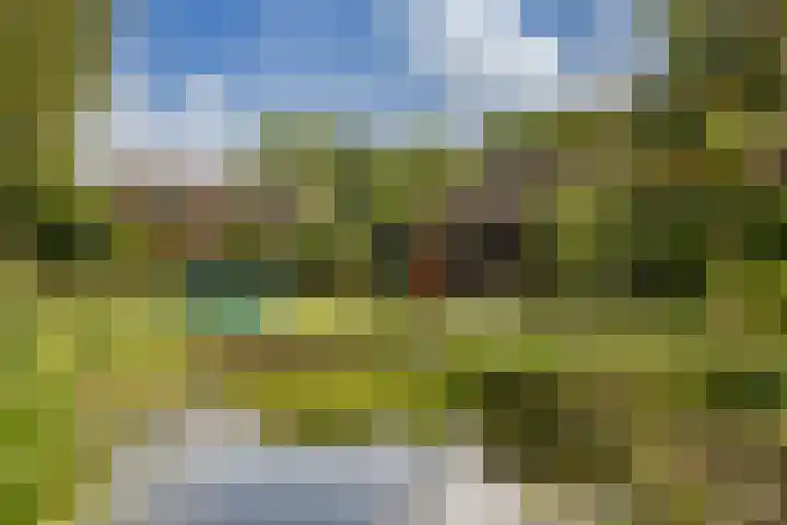 Stroet 43 Sint Maarten thumbnail 39