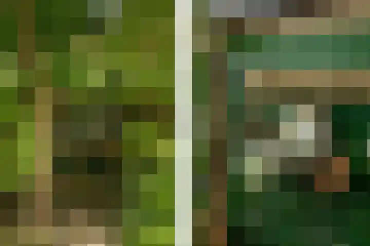 Stroet 43 Sint Maarten thumbnail 42