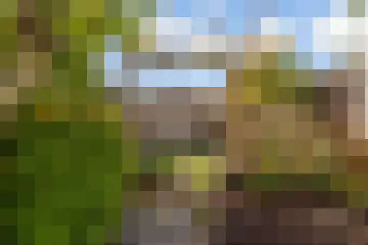 Strogeelstraat 66 Almere thumbnail 32