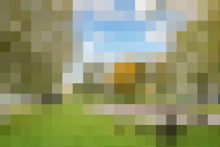 Strogeelstraat 66 Almere thumbnail 42
