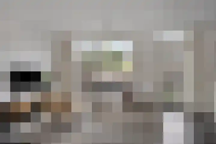 Strohuls 105 Asten thumbnail 10