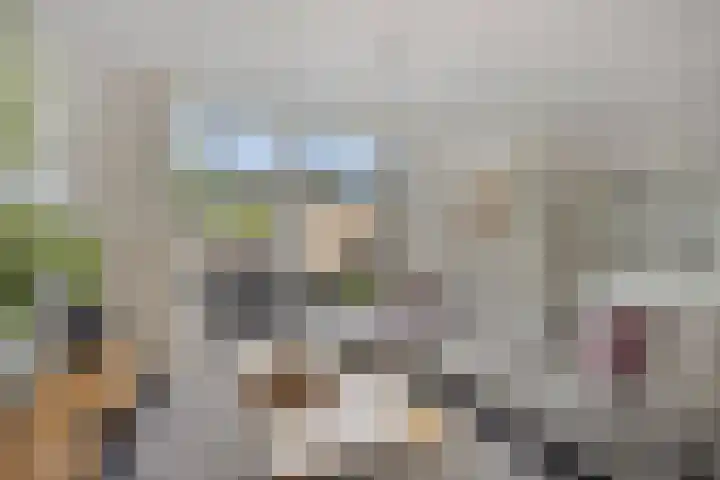 Strohuls 105 Asten thumbnail 11