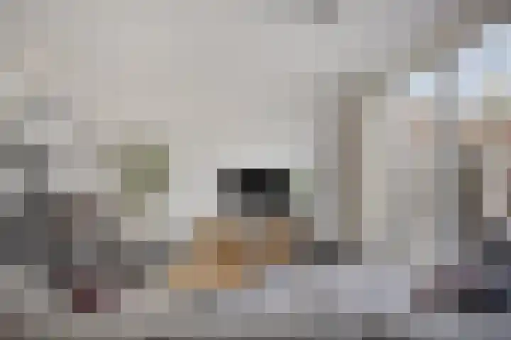 Strohuls 105 Asten thumbnail 14