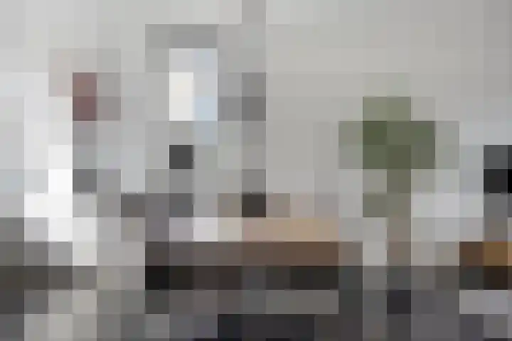 Strohuls 105 Asten thumbnail 15