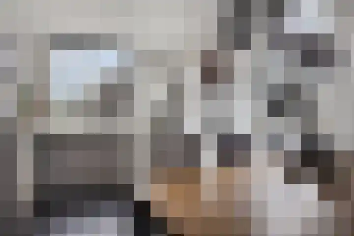 Strohuls 105 Asten thumbnail 16