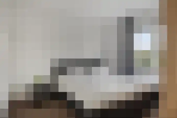 Strohuls 105 Asten thumbnail 21