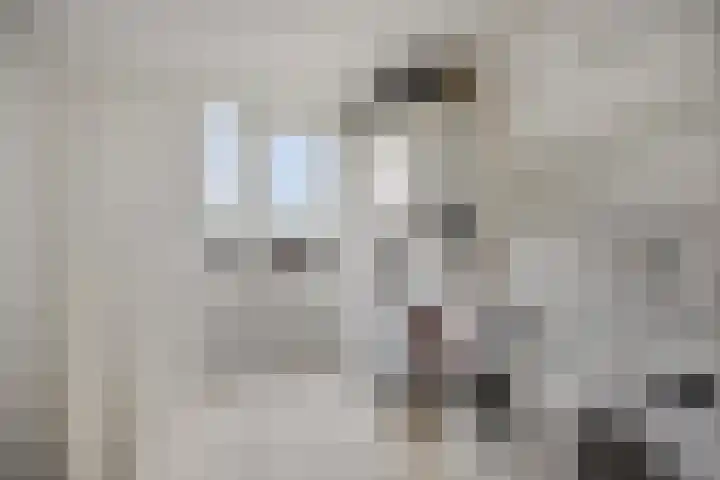 Strohuls 105 Asten thumbnail 29