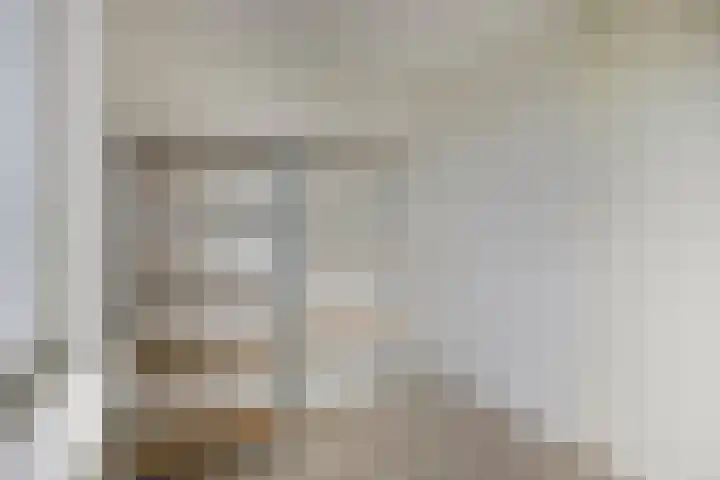 Strohuls 105 Asten thumbnail 31