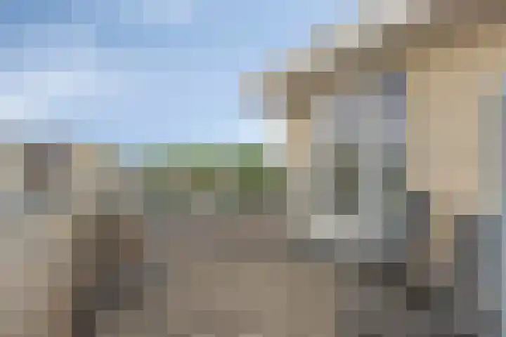 Strohuls 105 Asten thumbnail 33
