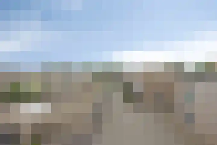 Strohuls 105 Asten thumbnail 34