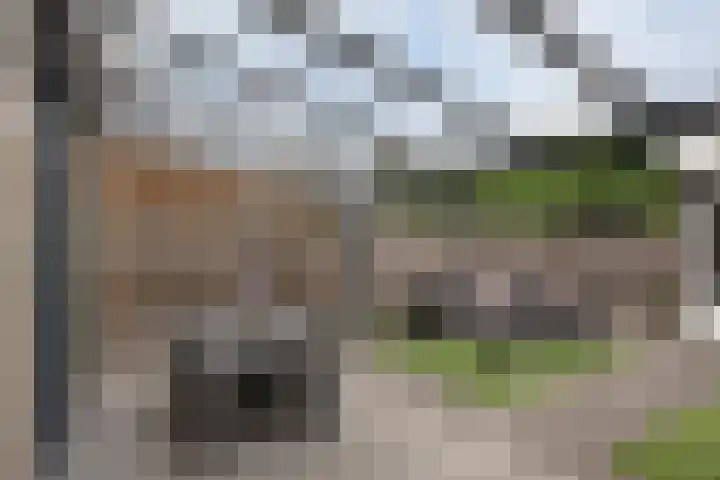 Strohuls 105 Asten thumbnail 36
