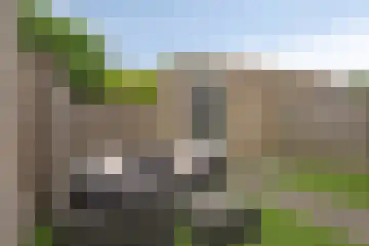 Strohuls 105 Asten thumbnail 37