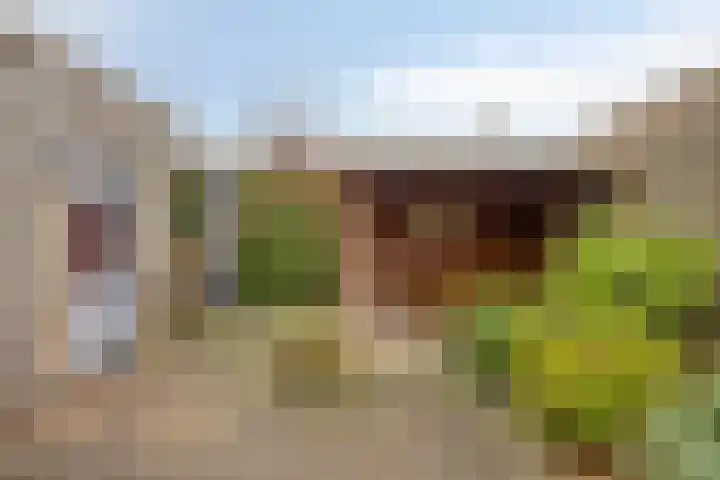 Strohuls 16 Asten thumbnail 32