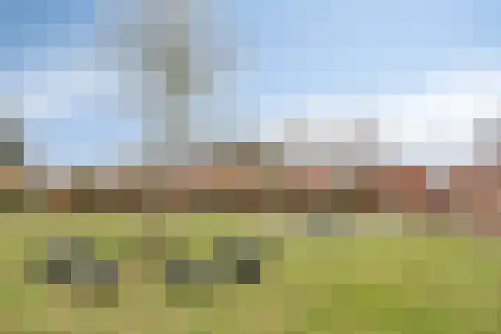 Strohuls 16 Asten thumbnail 36