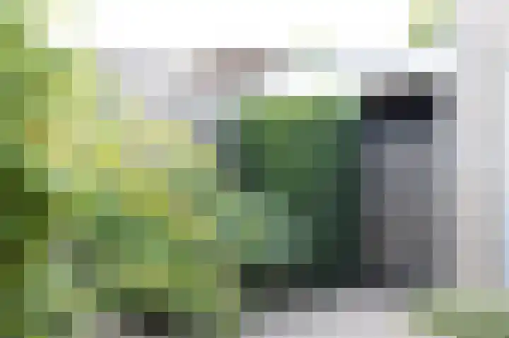 Strohuls 16 Asten thumbnail 39