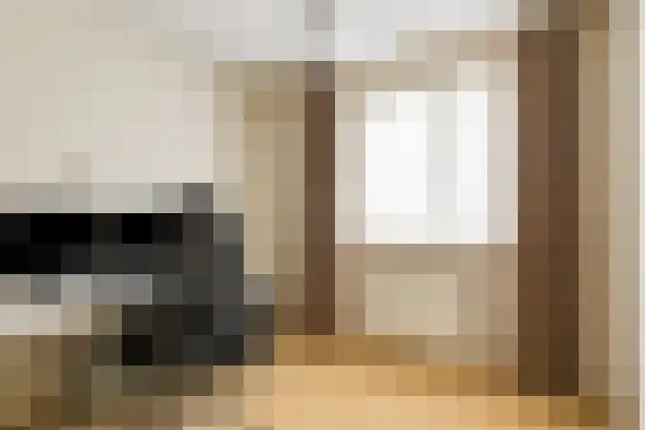 Strohuls 17 Asten thumbnail 14