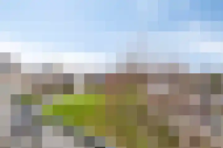 Strohuls 17 Asten thumbnail 21