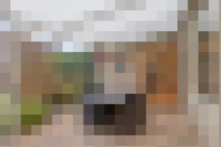 Strohuls 17 Asten thumbnail 22