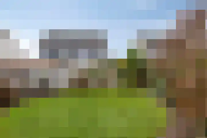 Strohuls 17 Asten thumbnail 24