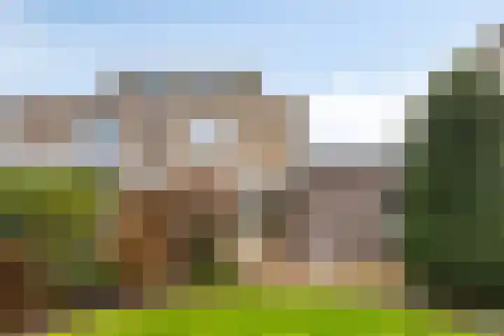 Strohuls 17 Asten thumbnail 25