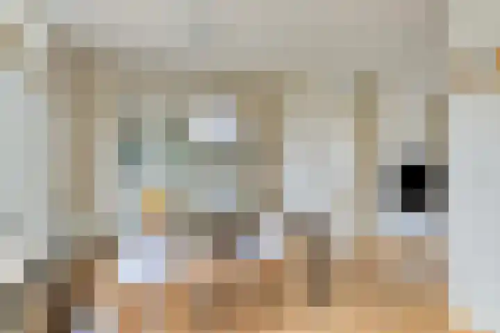 Strohuls 17 Asten thumbnail 4