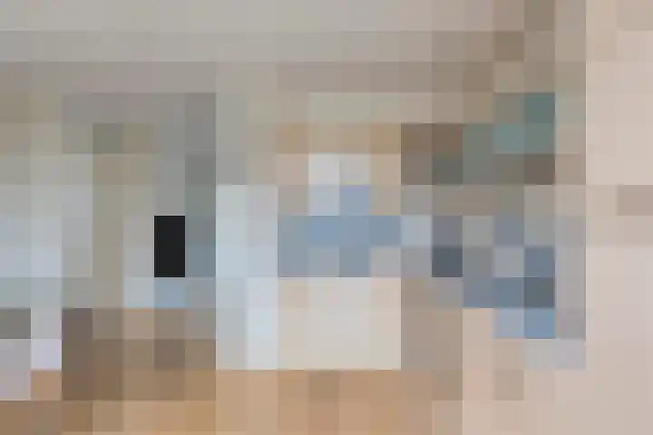 Strohuls 17 Asten thumbnail 5