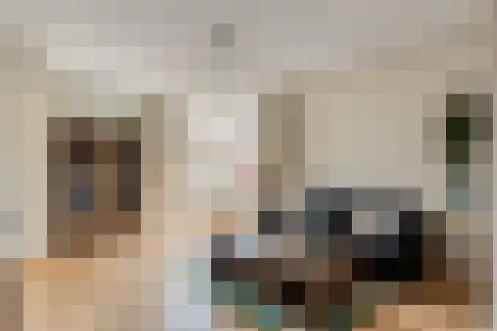 Strohuls 17 Asten thumbnail 7