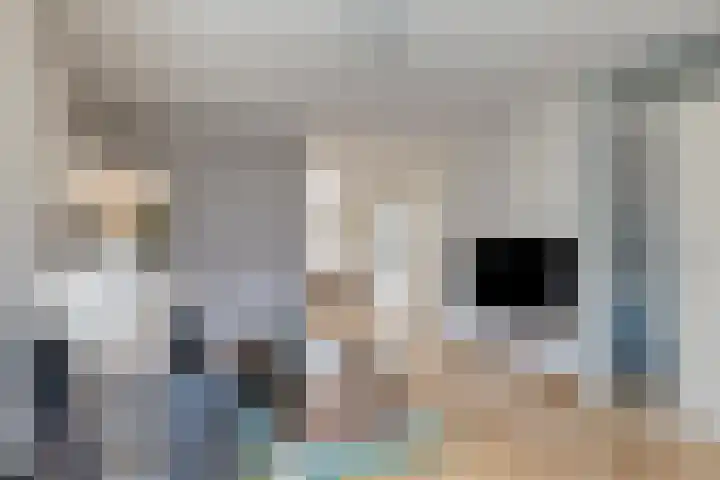 Strohuls 17 Asten thumbnail 9