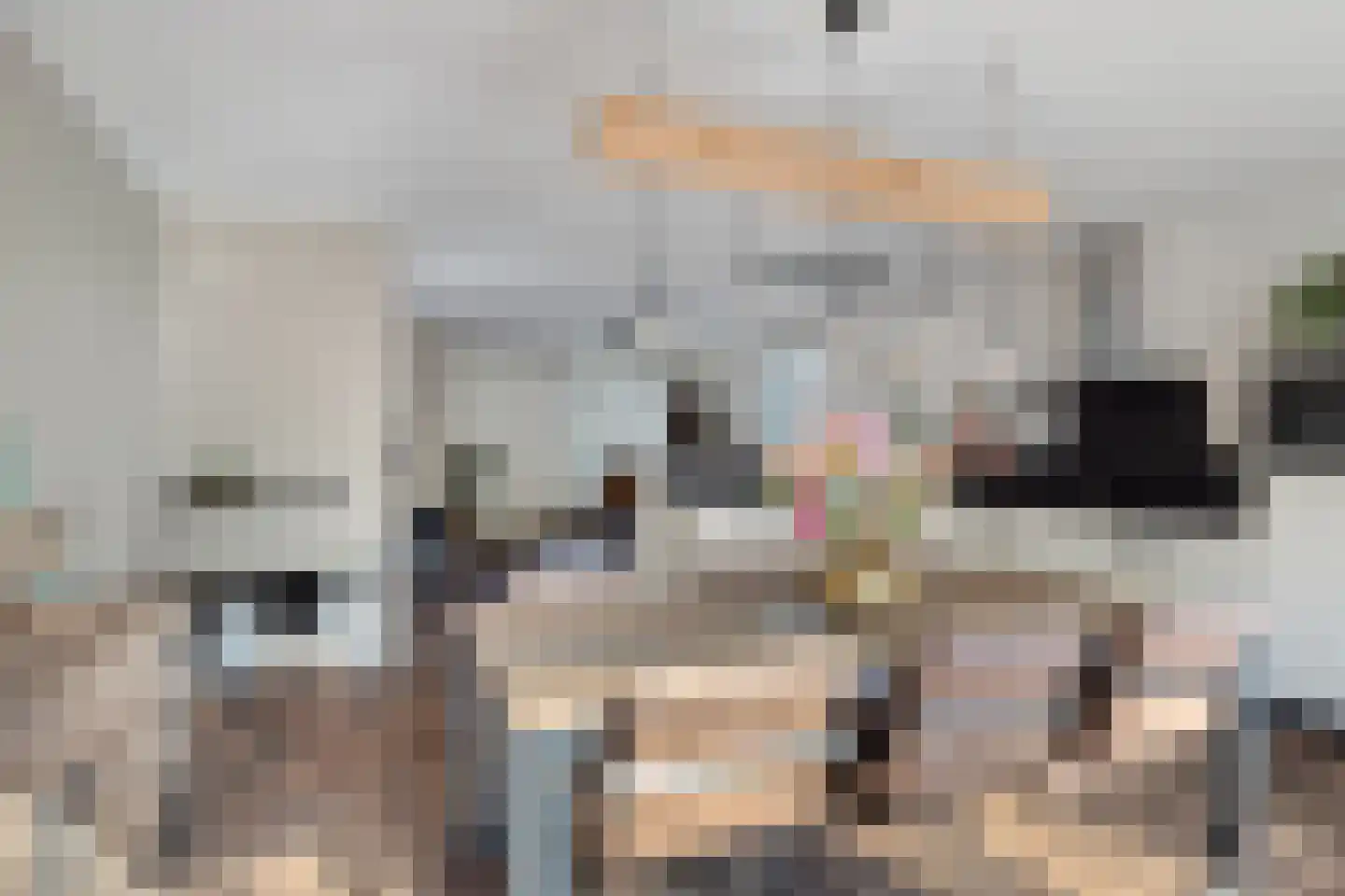 Strohuls 43 Asten thumbnail 12