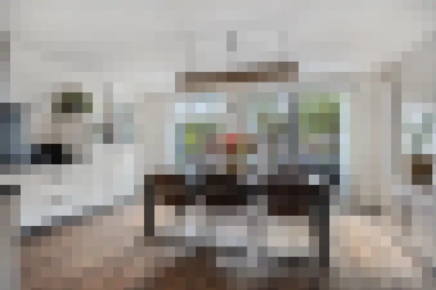 Strohuls 43 Asten thumbnail 13