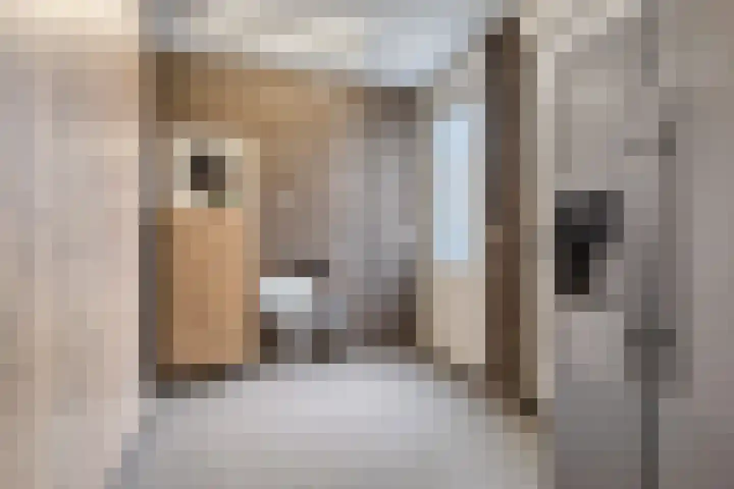 Strohuls 43 Asten thumbnail 16